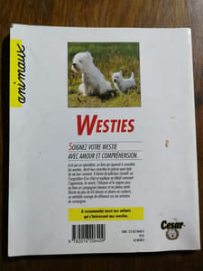 Westie