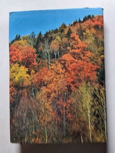 Guide de la forêt et de ses à-côtés
