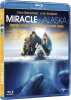 Miracle en alaska [Blu-ray] [FR Import] (NEUF SOUS BLISTER). Bell Kristen  Barrymore Drew  Krasinski John  Kwapis Ken  Bell Kristen