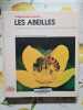 abeilles: Comportement communication et capacit&eacute;s sensorielles. Gould James-L  Grant Gould Carol  Bertrand Pierre