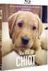 Une vie de chiot [Blu-ray] (NEUF SOUS BLISTER). Garbutt Jackie