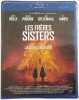 Les fr&egrave;res sisters [Blu-ray] (NEUF SOUS BLISTER). Phoenix Joaquin  Reilly John C.  Gyllenhaal Jake  Phoenix Joaquin  Audiard Jacques