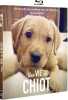 Une vie de chiot [Blu-ray] (NEUF SOUS BLISTER). Garbutt Jackie
