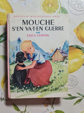 Mouche s'en va-t-en guerre. Erica Certon