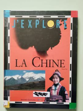 La Chine. Wang Tao