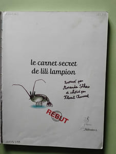 Le carnet secret de Lili Lampion