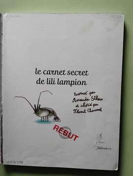 Le carnet secret de Lili Lampion. Amanda Sthers