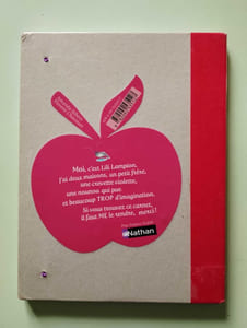 Le carnet secret de Lili Lampion