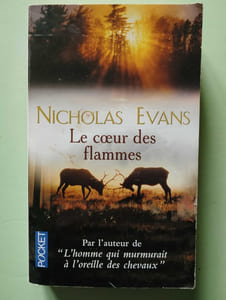 Le Coeur des flammes
