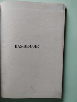 Bas-de-cuir. Fenimore Cooper