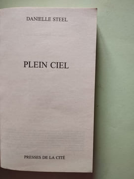 Plein ciel. Danielle Steel