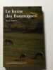 Le haras des Baumugnes. Marie Guillem
