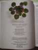 Soignez vos plantes d'appartement. William Davidson