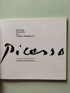 Il était une fois Picasso