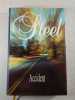 Accident. Danielle Steel