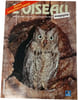L'Oiseau Magazine n&deg;38. 