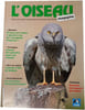 L'Oiseau Magazine n&deg;42. 