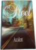 Accident. Danielle Steel