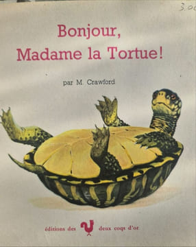Bonjour Madame la Tortue bonne nuit. undefined