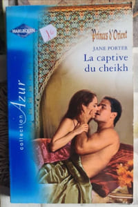 La captive du cheikh