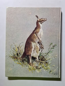 Bébés animaux d'Océanie