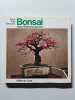 Bonsai abres miniatures japonais. Koide Kato Takeyama