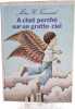 A chat perch&eacute; sur un gratte-ciel. John R. Townsend