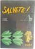 Salvete. J. Cousteix  J. Gaillard  R. Weinberg