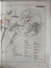 L'&eacute;cho des savanes /n&deg;72 / Janvier 1981. 
