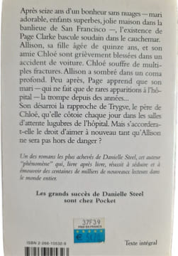 Accident. Danielle Steel