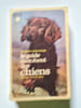 Le guide marabout des chiens. MICHELE PRENDERGAST