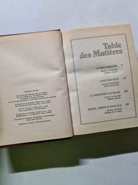 Sélection du Livre la billebaude. La Billebaude Lointain été La dernière plongée Emma Chils D'aveule