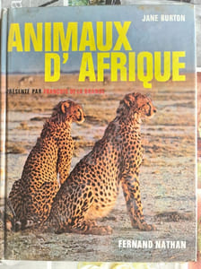 Animaux d'Afrique