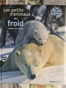Les petits d'animaux du froid. Hélène Montardre