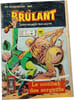 Br&ucirc;lant n&deg;44. 