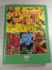 Les couleurs du jardin. 