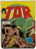 Tor 4. 