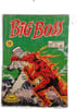 Big Boss 24. 