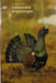 Oiseaux d'Europe. Claus K&Ouml;NIG
