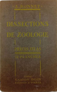 Dissections de zoologie