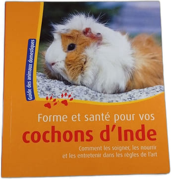 Forme et santé pour vos cochons d'Inde. undefined