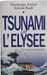 Tsunami sur l'&Eacute;lys&eacute;e. Antoine Rault Dominique Ambiel