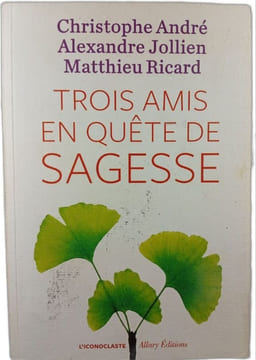 Trois amis en quête de sagesse. Christophe André Matthieu Ricard Alexandre Jollien