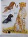 Ma Premi&egrave;re Encyclop&eacute;die des Animaux. 