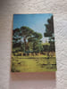 S&eacute;lection du reader's digest. Reader's Digest