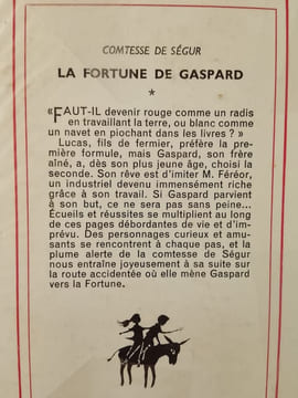 La Fortune de Gaspard. Comtesse de Ségur
