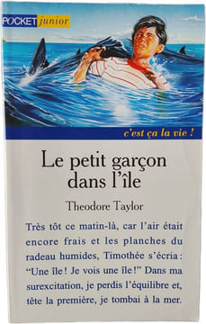 Le petit garçon dans l'île. Théodore Taylor