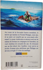 Le petit garçon dans l'île