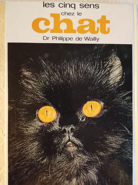 Les cinq sens chez le chat. Dr Philippe de Waily