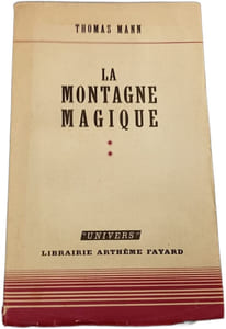 La Montagne Magique tome 2